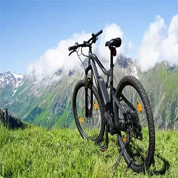 How To Choose The Motor When Choosing Electric Bicycle